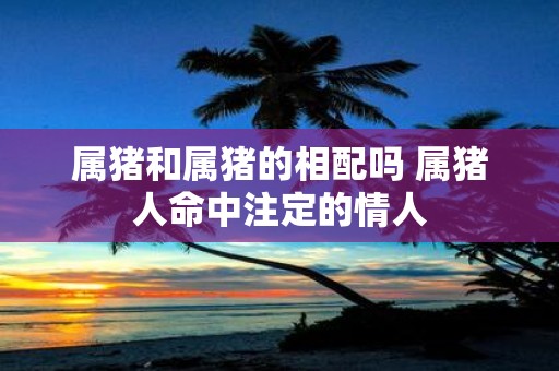 属猪和属猪的相配吗 属猪人命中注定的情人