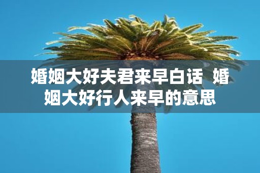 婚姻大好夫君来早白话 婚姻大好行人来早的意思