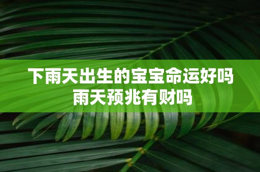 下雨天出生的宝宝命运好吗 雨天预兆有财吗