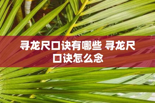 寻龙尺口诀有哪些 寻龙尺口诀怎么念