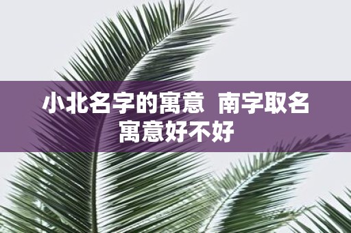 小北名字的寓意 南字取名寓意好不好