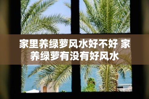 家里养绿萝风水好不好 家养绿萝有没有好风水