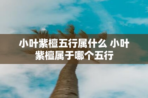 小叶紫檀五行属什么 小叶紫檀属于哪个五行