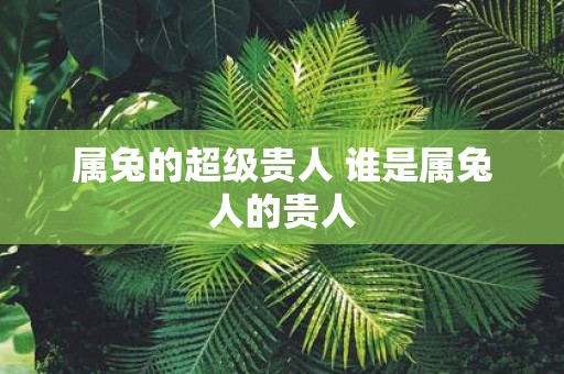 属兔的超级贵人 谁是属兔人的贵人