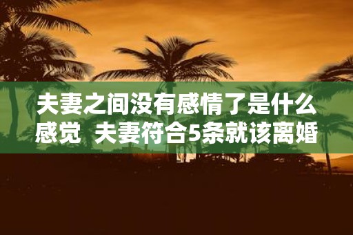 夫妻之间没有感情了是什么感觉 夫妻符合5条就该离婚了