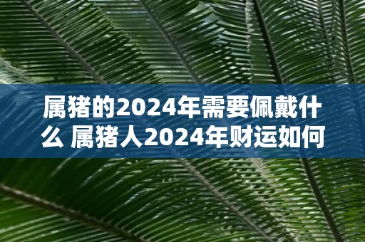 属猪的2025年需要佩戴什么 属猪人2025年财运如何