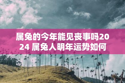 属兔的今年能见丧事吗2025 属兔人明年运势如何