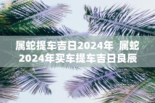 属蛇提车吉日2025年 属蛇2025年买车提车吉日良辰
