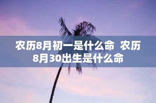 农历8月初一是什么命 农历8月30出生是什么命