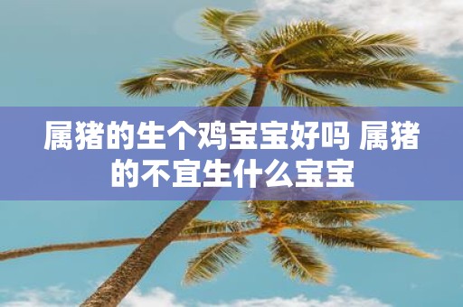属猪的生个鸡宝宝好吗 属猪的不宜生什么宝宝