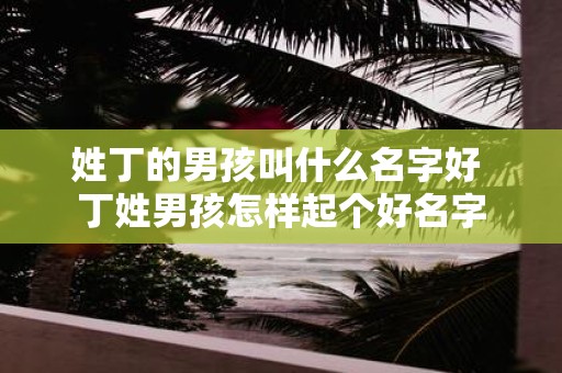 姓丁的男孩叫什么名字好 丁姓男孩怎样起个好名字