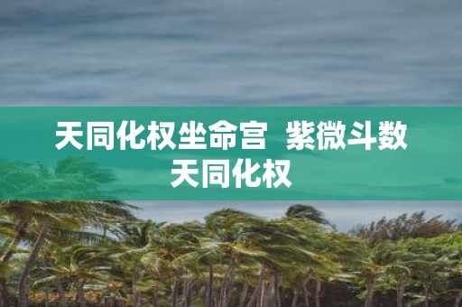 天同化权坐命宫 紫微斗数天同化权