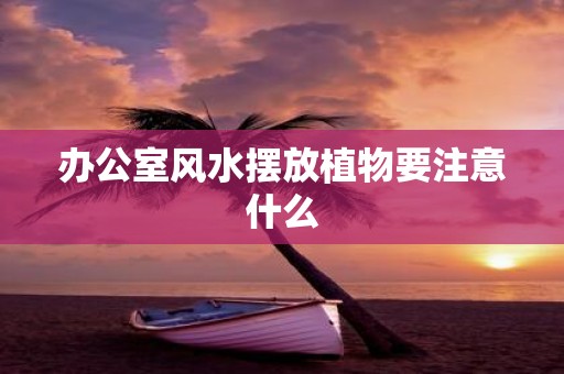 办公室风水摆放植物要注意什么