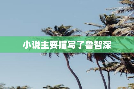 小说主要描写了鲁智深