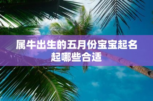 属牛出生的五月份宝宝起名起哪些合适