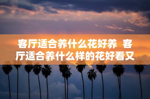 客厅适合养什么花好养 客厅适合养什么样的花好看又好养