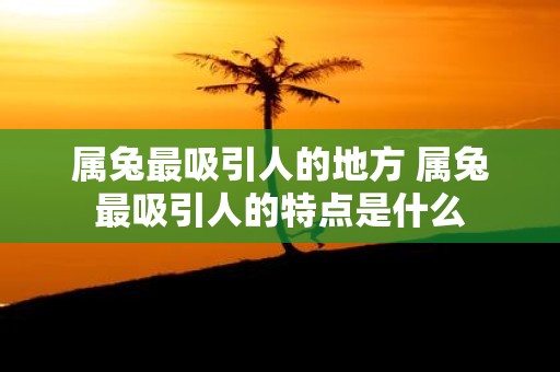 属兔最吸引人的地方 属兔最吸引人的特点是什么