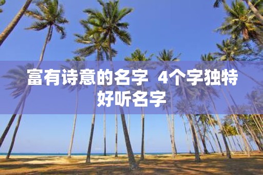 富有诗意的名字 4个字独特好听名字