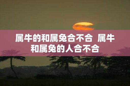 属牛的和属兔合不合 属牛和属兔的人合不合