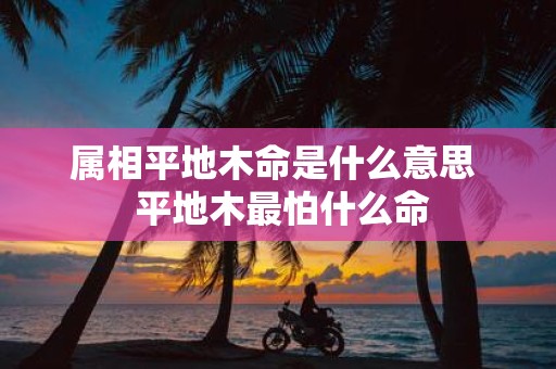属相平地木命是什么意思 平地木最怕什么命