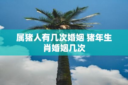 属猪人有几次婚姻 猪年生肖婚姻几次