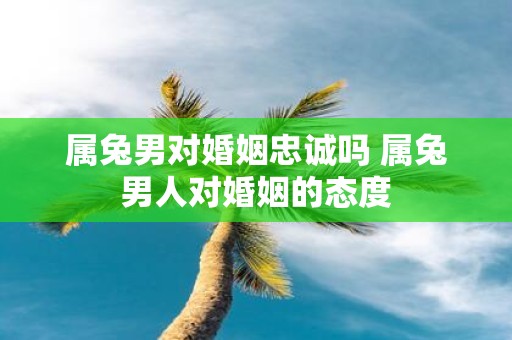 属兔男对婚姻忠诚吗 属兔男人对婚姻的态度