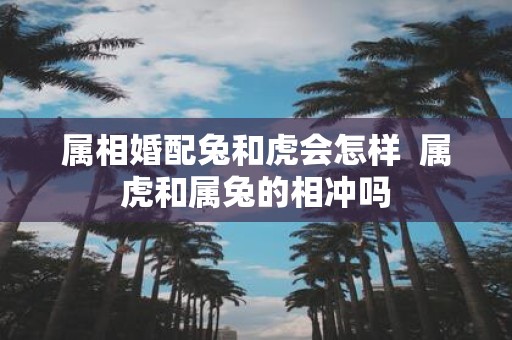 属相婚配兔和虎会怎样 属虎和属兔的相冲吗