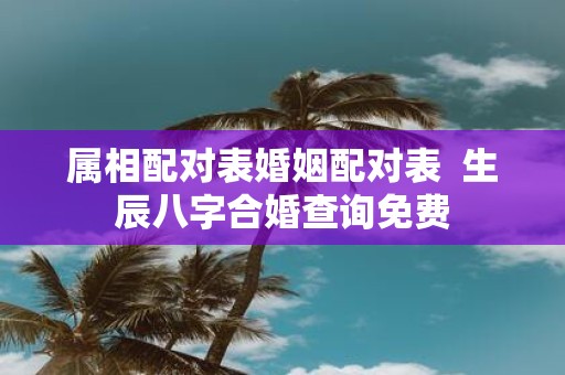 属相配对表婚姻配对表 生辰八字合婚查询免费