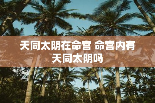 天同太阴在命宫 命宫内有天同太阴吗