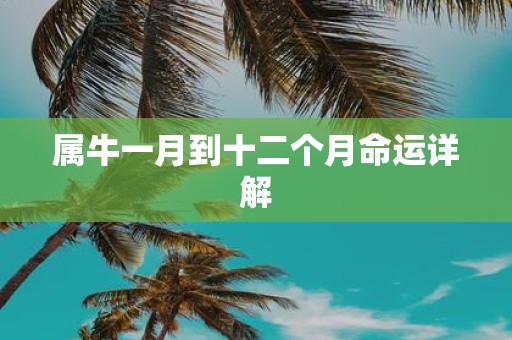 属牛一月到十二个月命运详解