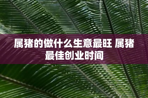 属猪的做什么生意最旺 属猪最佳创业时间