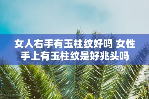 女人右手有玉柱纹好吗 女性手上有玉柱纹是好兆头吗