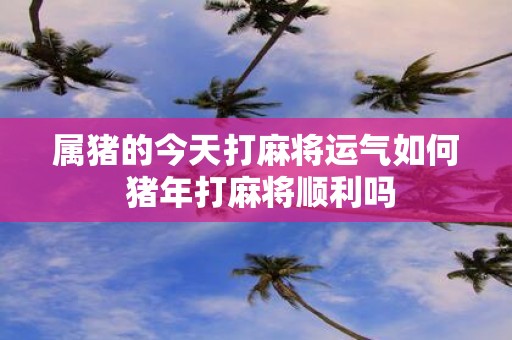属猪的今天打麻将运气如何 猪年打麻将顺利吗