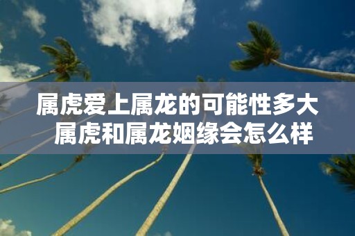 属虎爱上属龙的可能性多大 属虎和属龙姻缘会怎么样