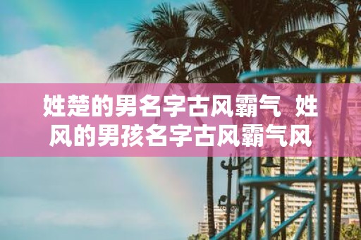 姓楚的男名字古风霸气 姓风的男孩名字古风霸气风