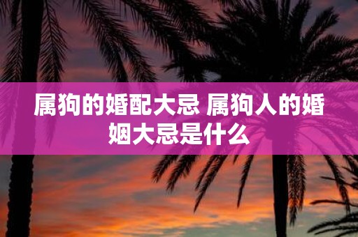属狗的婚配大忌 属狗人的婚姻大忌是什么