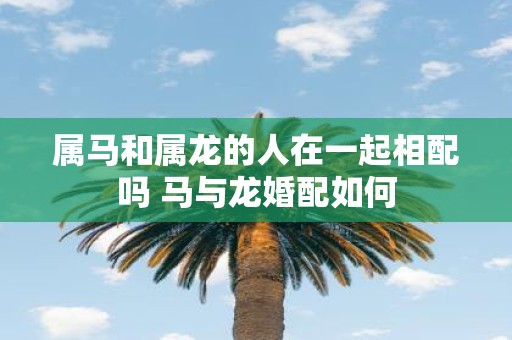 属马和属龙的人在一起相配吗 马与龙婚配如何