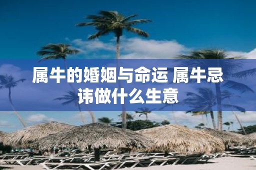 属牛的婚姻与命运 属牛忌讳做什么生意