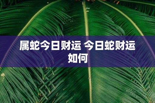 属蛇今日财运 今日蛇财运如何