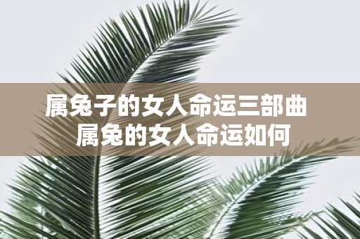 属兔子的女人命运三部曲 属兔的女人命运如何