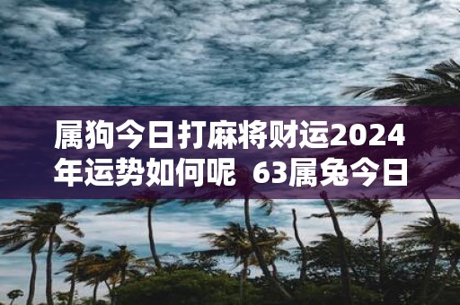 属狗今日打麻将财运2025年运势如何呢 63属兔今日财运
