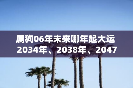 属狗06年未来哪年起大运 2034年、2038年、2047年