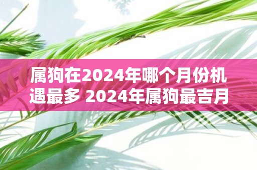 属狗在2025年哪个月份机遇最多 2025年属狗最吉月是哪个