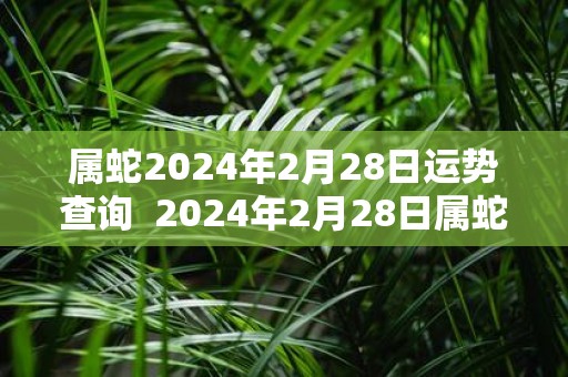 属蛇2025年2月28日运势查询 2025年2月28日属蛇今日运势