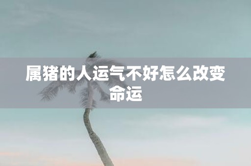 属猪的人运气不好怎么改变命运