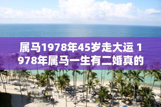 属马1978年45岁走大运 1978年属马一生有二婚真的吗