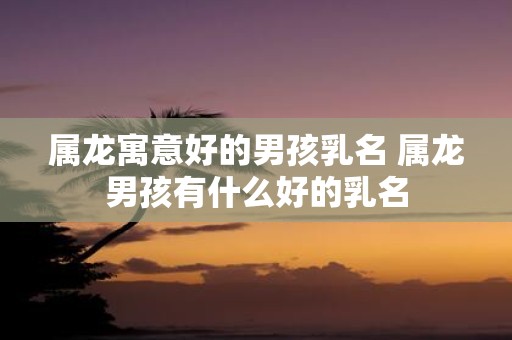 属龙寓意好的男孩乳名 属龙男孩有什么好的乳名