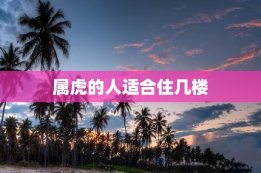 属虎的人适合住几楼