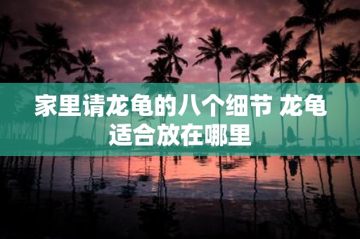 家里请龙龟的八个细节 龙龟适合放在哪里
