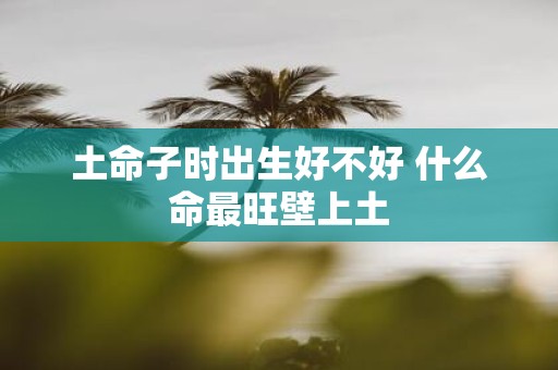 土命子时出生好不好 什么命最旺壁上土